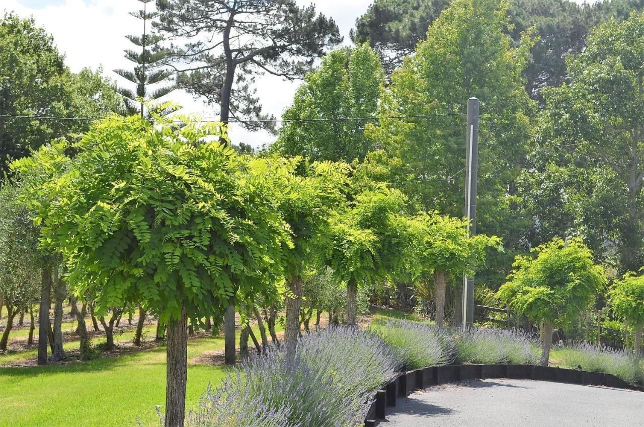 مبيت وإفطار Riverhead Lavender Hill المظهر الخارجي الصورة