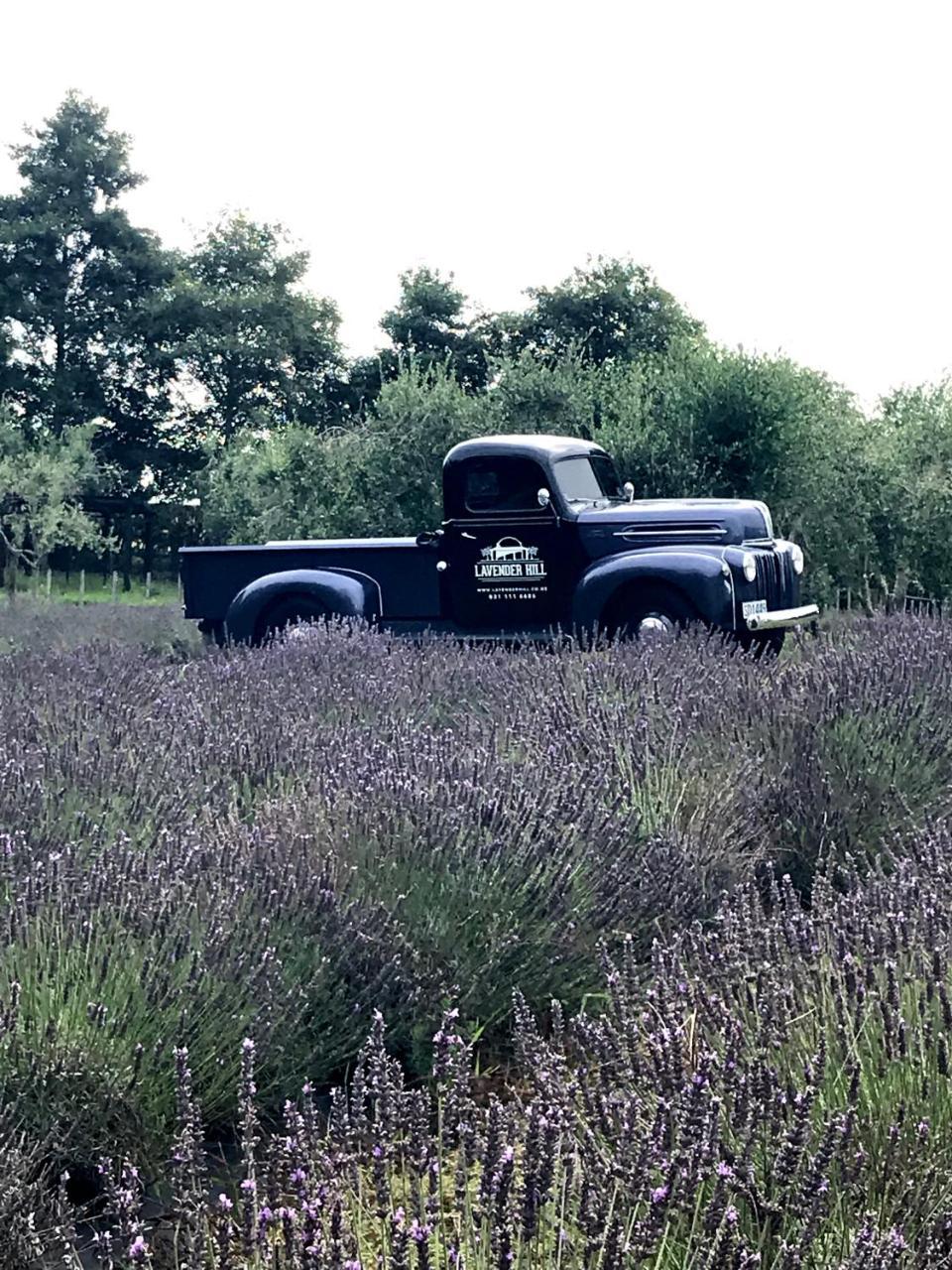 مبيت وإفطار Riverhead Lavender Hill المظهر الخارجي الصورة