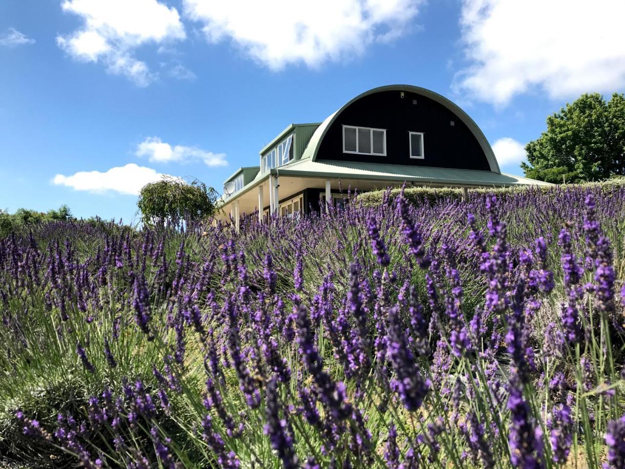 مبيت وإفطار Riverhead Lavender Hill المظهر الخارجي الصورة